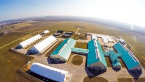 Льготный кредит на строительство зернохранилищ в Липецкой области